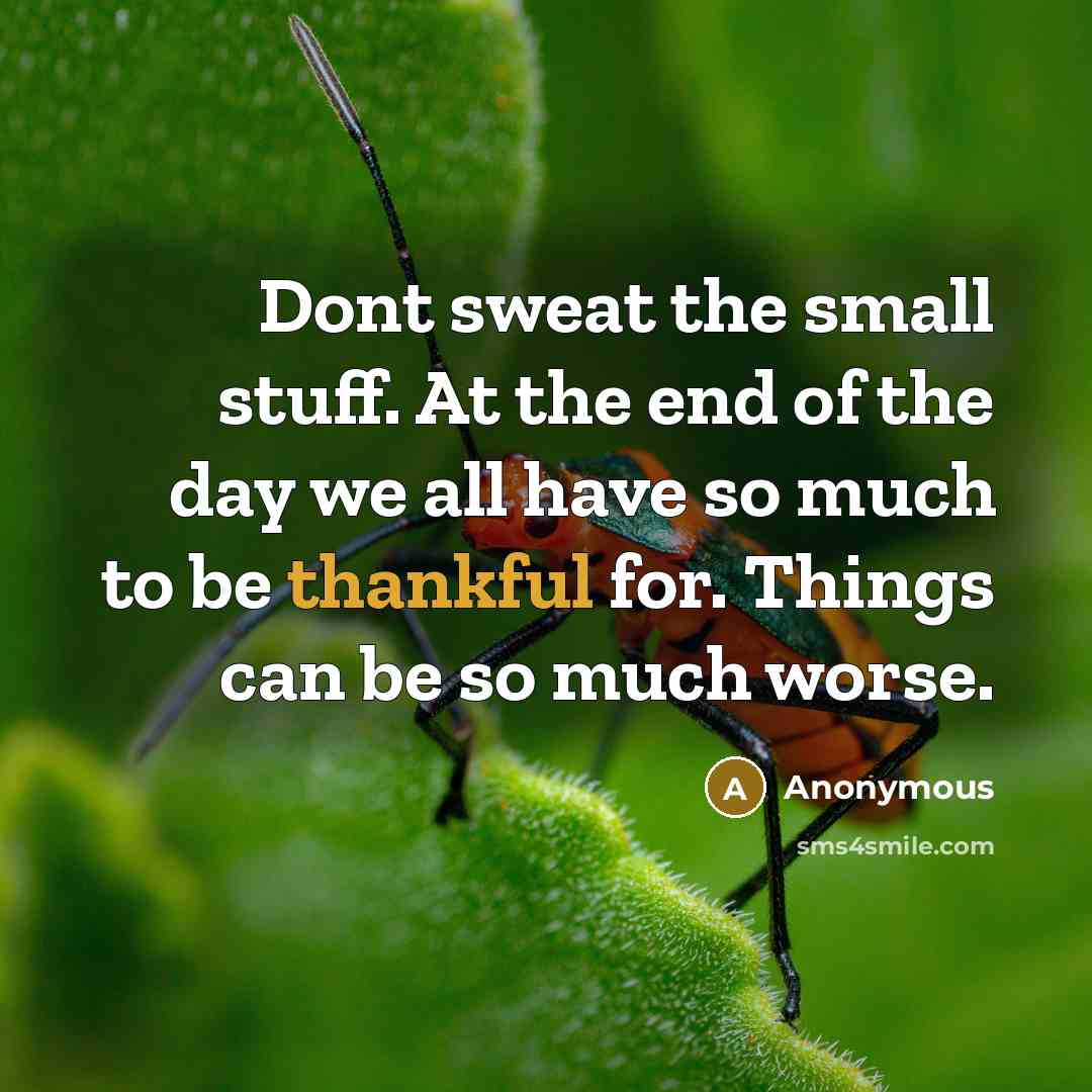 “Dont sweat the small stuff. At the end of the…” quote by Anonymous