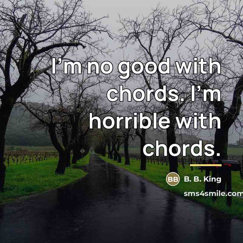 “I'm no good with chords. I'm horrible with chords.…” quote by B. B. King
