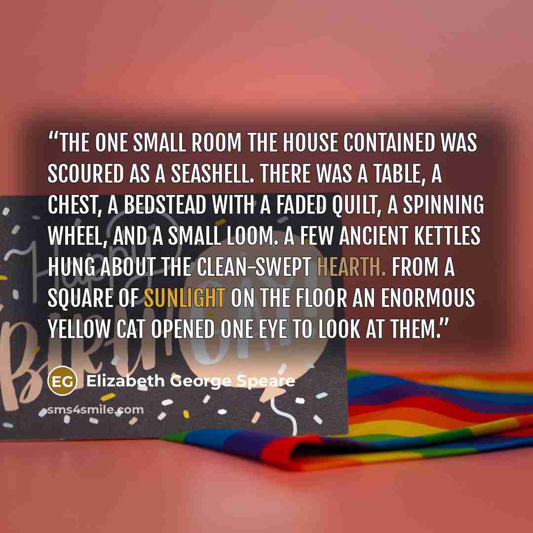 “The one small room the house contained was scoured as a seashell. There was a table, a chest, a bedstead with a faded quilt, a spinning wheel, and a small loom. A few ancient kettles hung about the clean-swept hearth. From a square of sunlight on the floor an enormous yellow cat opened one eye to…” quote by Elizabeth George Speare