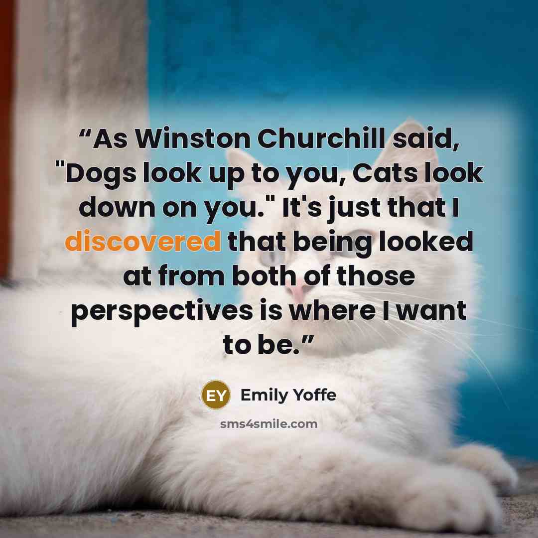 “As Winston Churchill said, "Dogs look up to you, Cats look down on you." It's just that I discovered that being looked at from both of those perspectives is where I want to be.” quote by Emily Yoffe