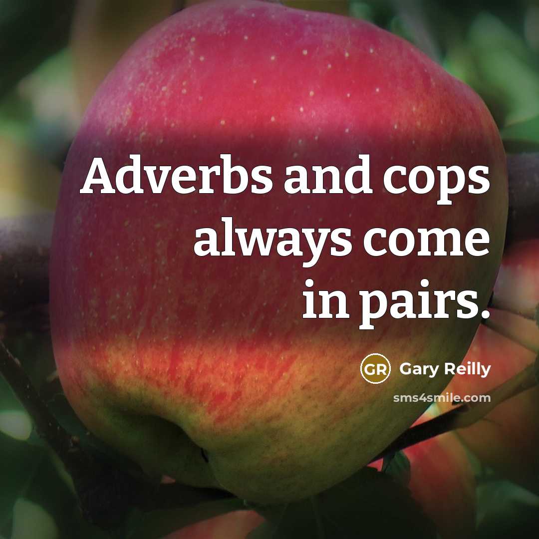 “Adverbs and cops always come in pairs.…” quote by Gary Reilly