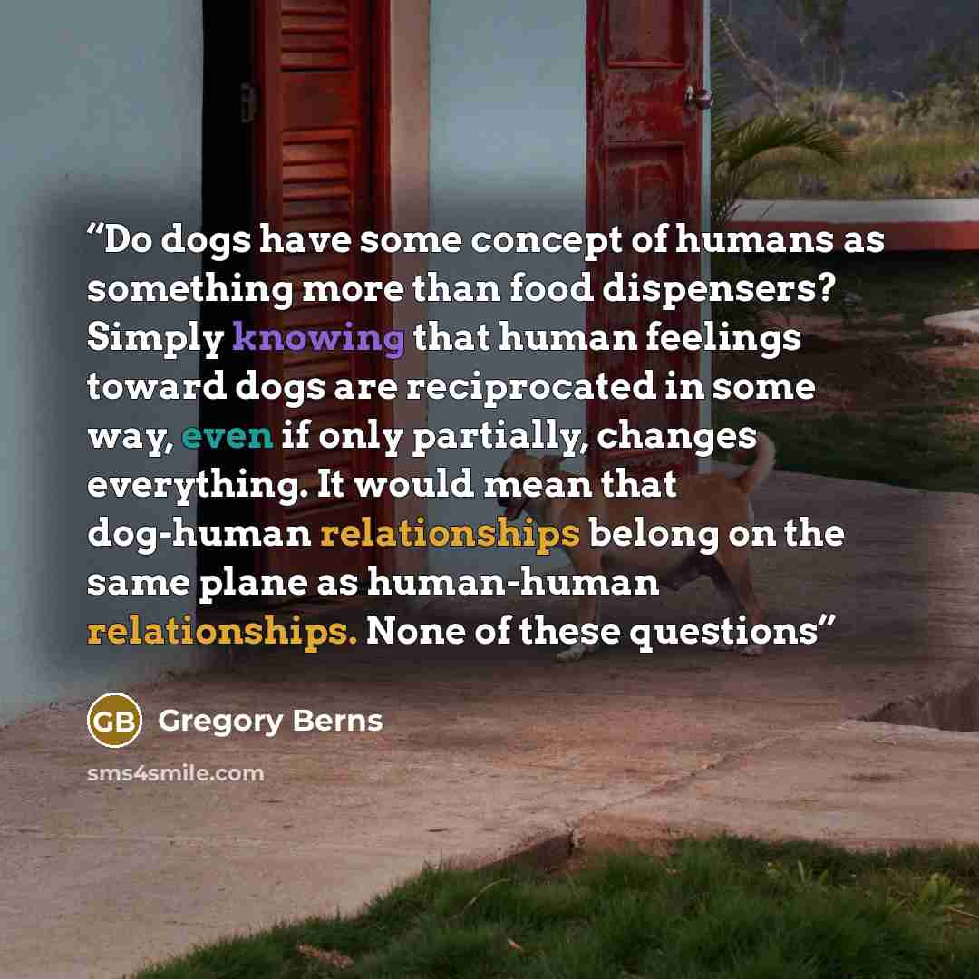 “Do dogs have some concept of humans as something more than food dispensers? Simply knowing that human feelings toward dogs are reciprocated in some way, even if only partially, changes everything. It would mean that dog-human relationships belong on the same plane as human-human relationships…” quote by Gregory Berns