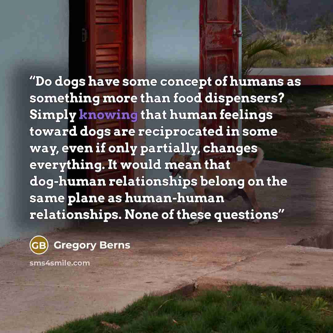 “Do dogs have some concept of humans as something more than food dispensers? Simply knowing that human feelings toward dogs are reciprocated in some way, even if only partially, changes everything. It would mean that dog-human relationships belong on the same plane as human-human relationships…” quote by Gregory Berns