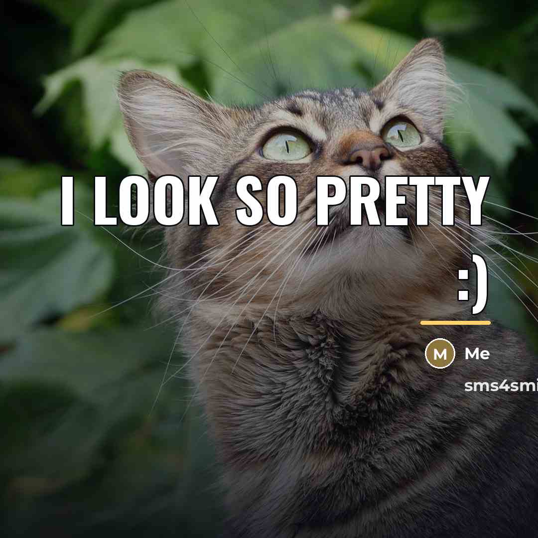 “I look so pretty :)…” quote by Me