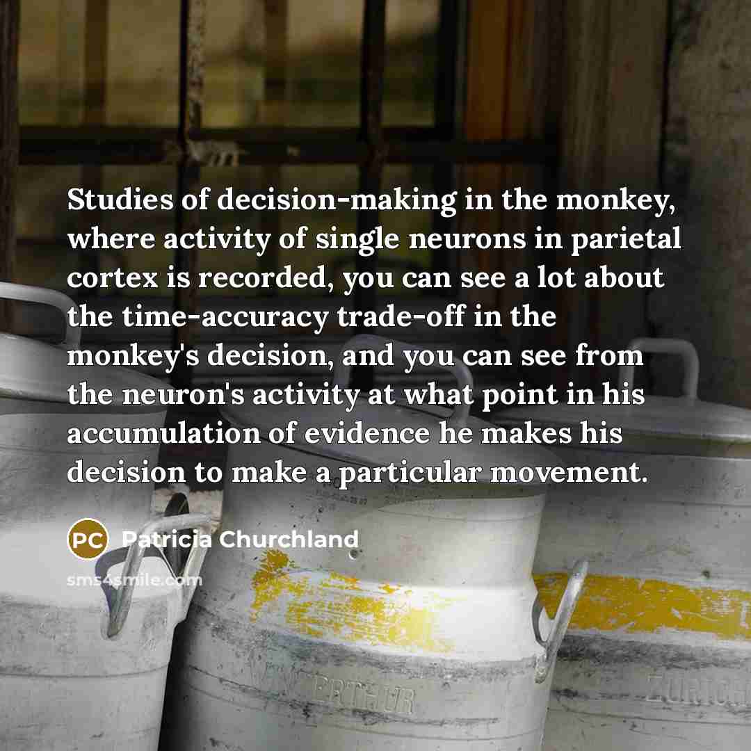 “Studies of decision-making in the monkey, where activity of single…” quote by Patricia Churchland