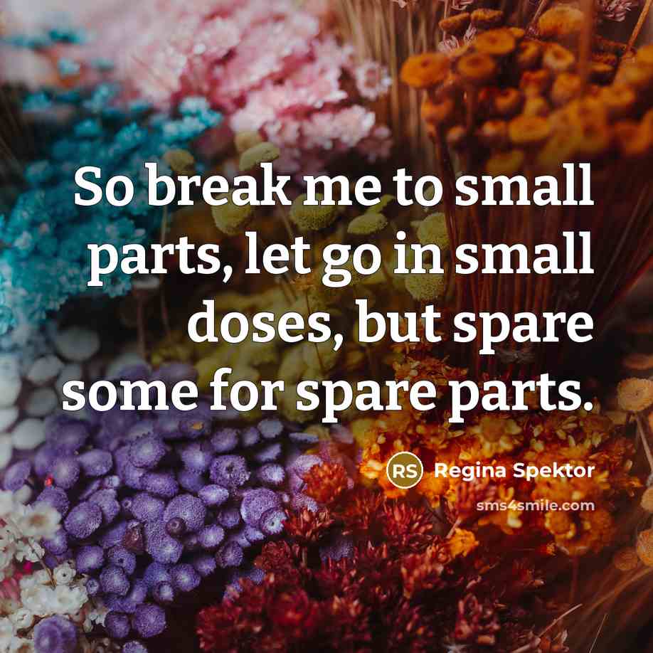 “So break me to small parts, let go in small…” quote by Regina Spektor