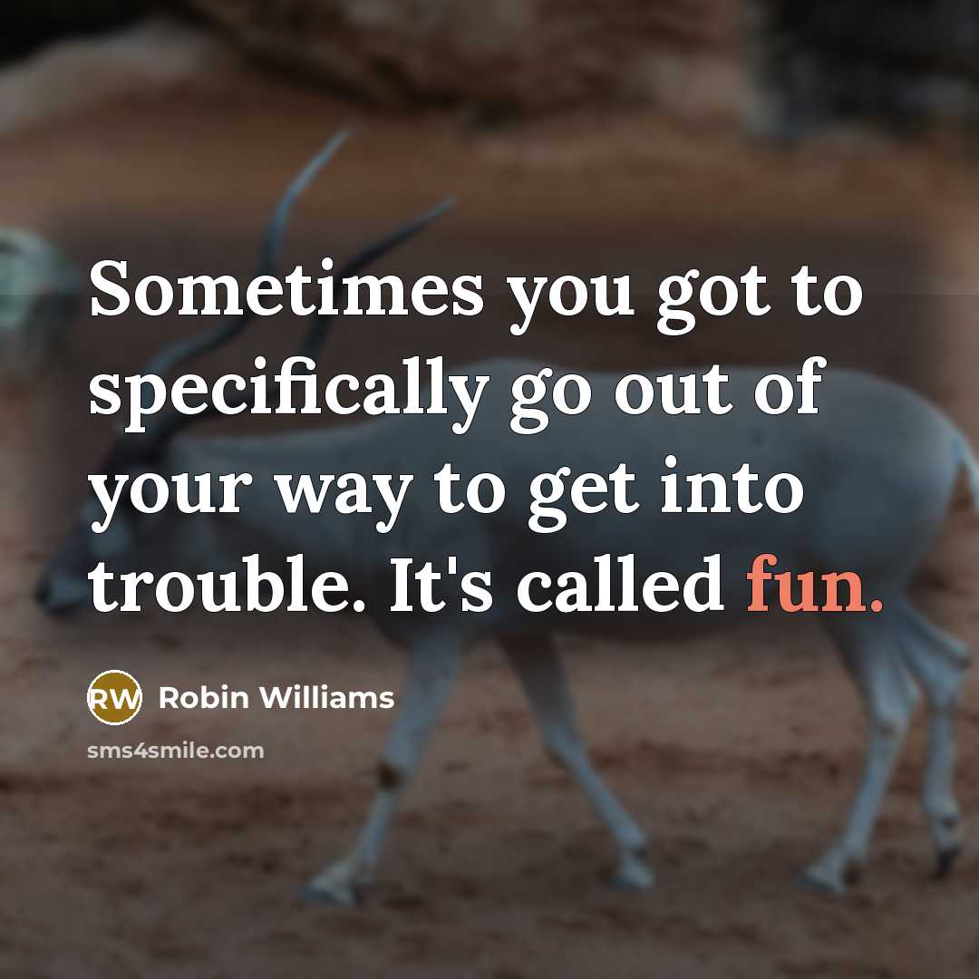 “Sometimes you got to specifically go out of your way to get into trouble. It's called fun.” quote by Robin Williams