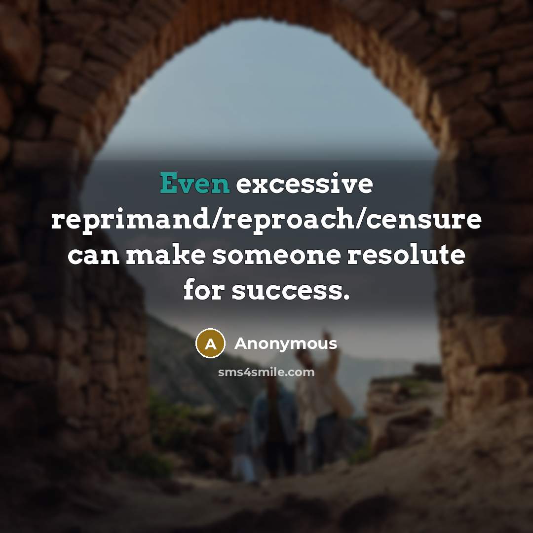 “Even excessive reprimand/reproach/censure can make someone resolute for success.…” quote by Anonymous