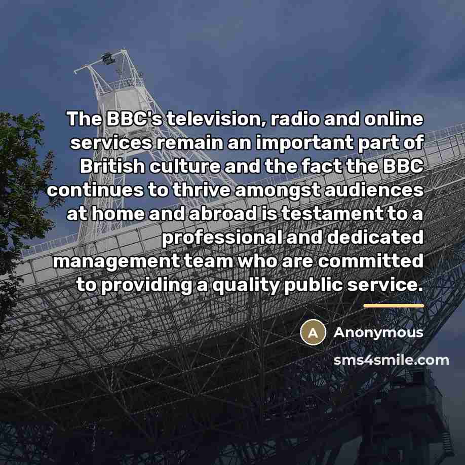 “The BBC's television, radio and online services remain an important…” quote by Anonymous