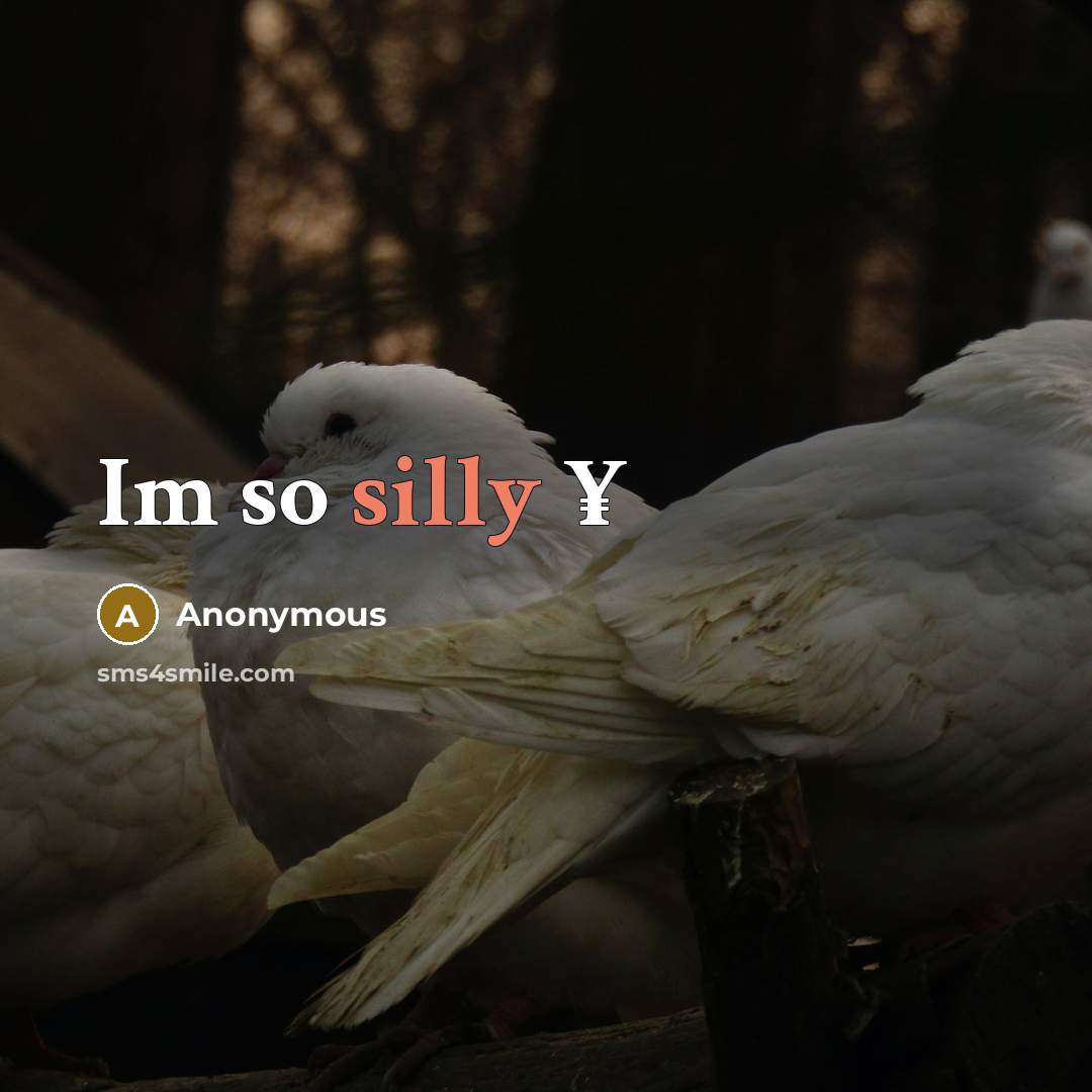 “Im so silly ¥” quote by Anonymous
