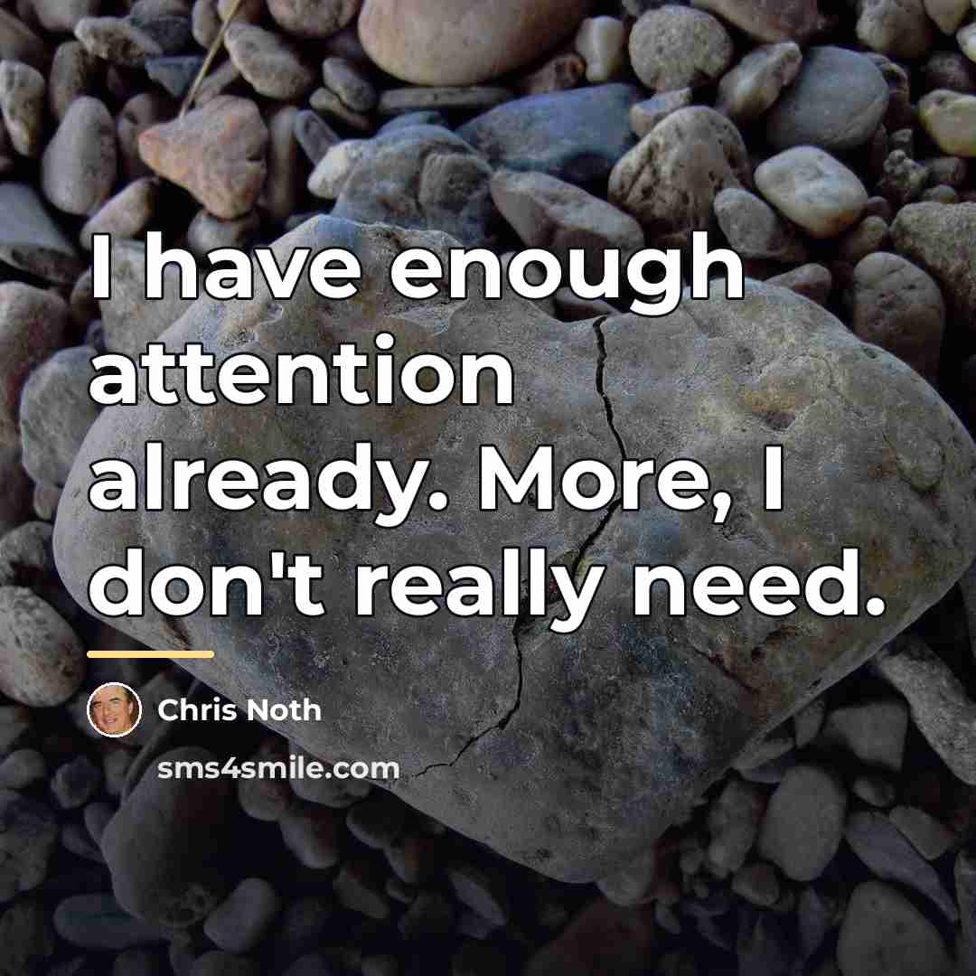 “I have enough attention already. More, I don't really need.…” quote by Chris Noth