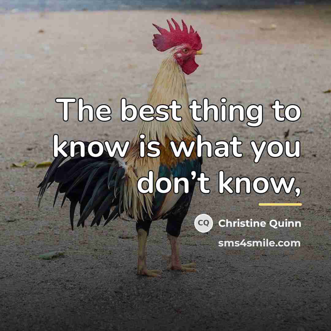“The best thing to know is what you don’t know,…” quote by Christine Quinn