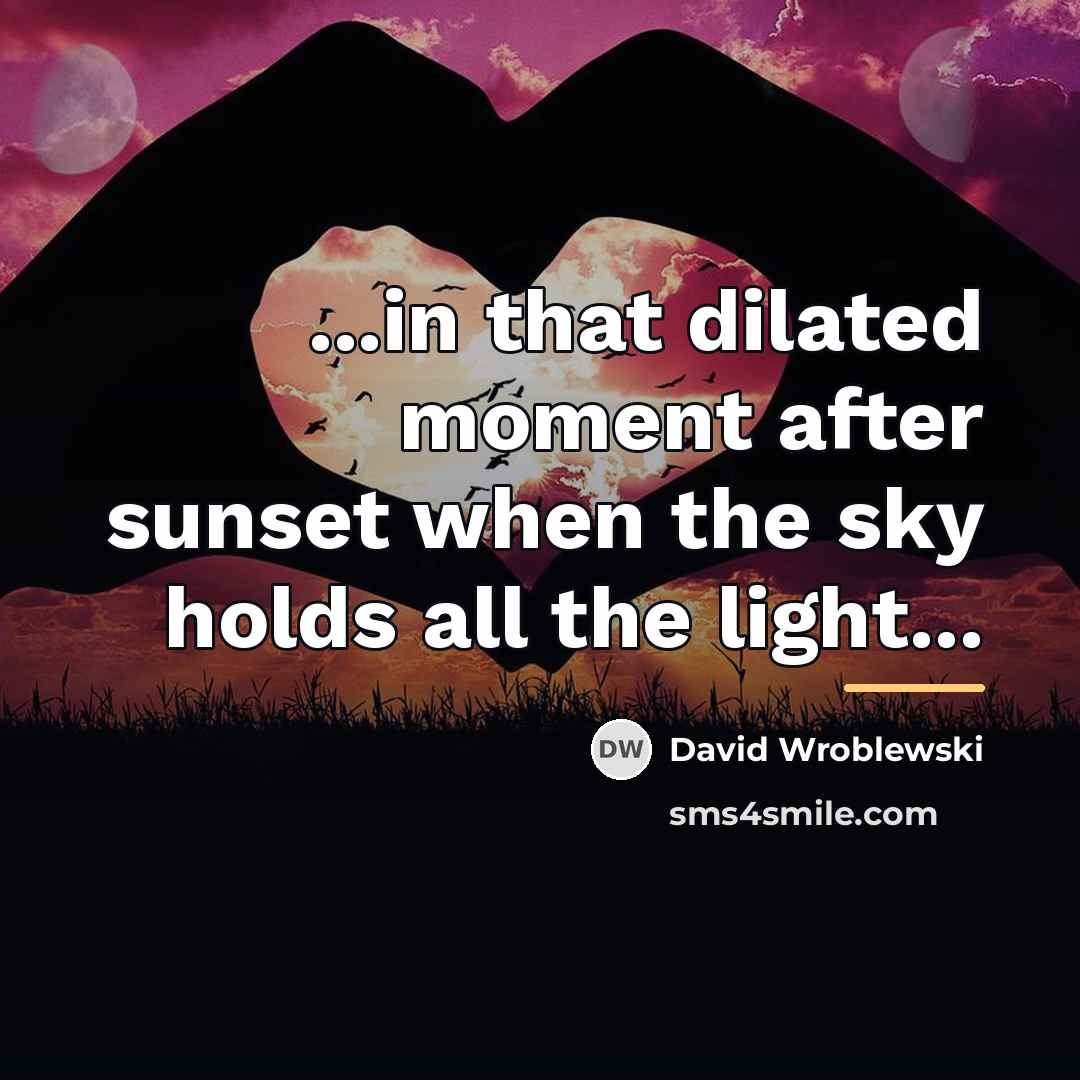 “...in that dilated moment after sunset when the sky holds…” quote by David Wroblewski
