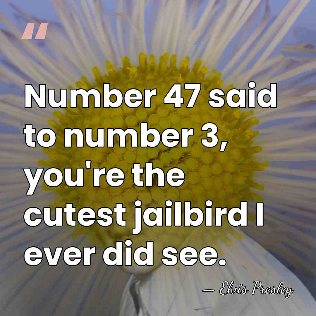 Number 47 said to number 3, you're the cutest jailbird I ever&hellip; - Elvis Presley