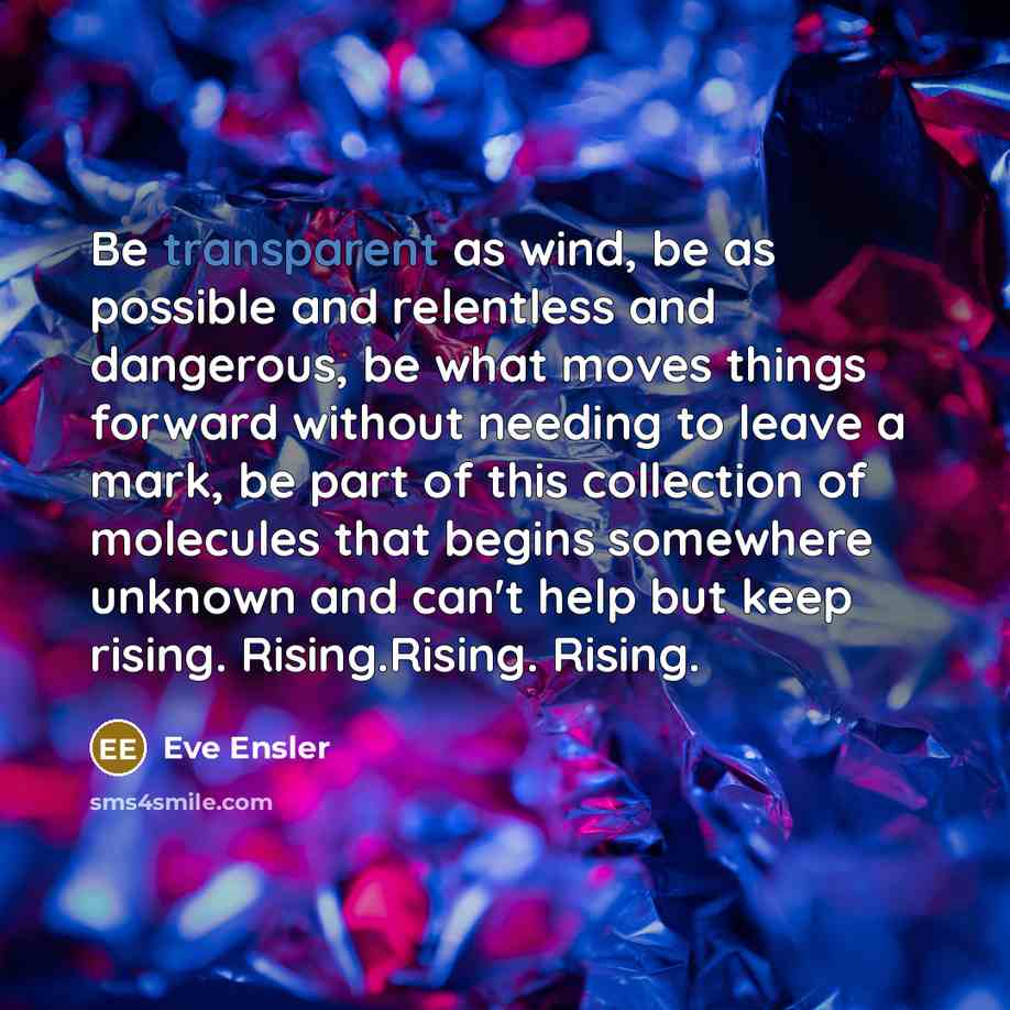“Be transparent as wind, be as possible and relentless and…” quote by Eve Ensler
