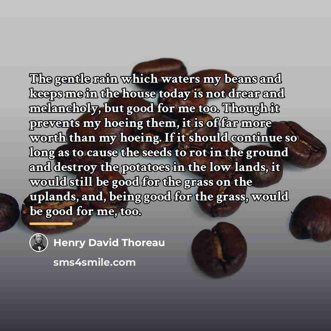 “The gentle rain which waters my beans and keeps me…” quote by Henry David Thoreau