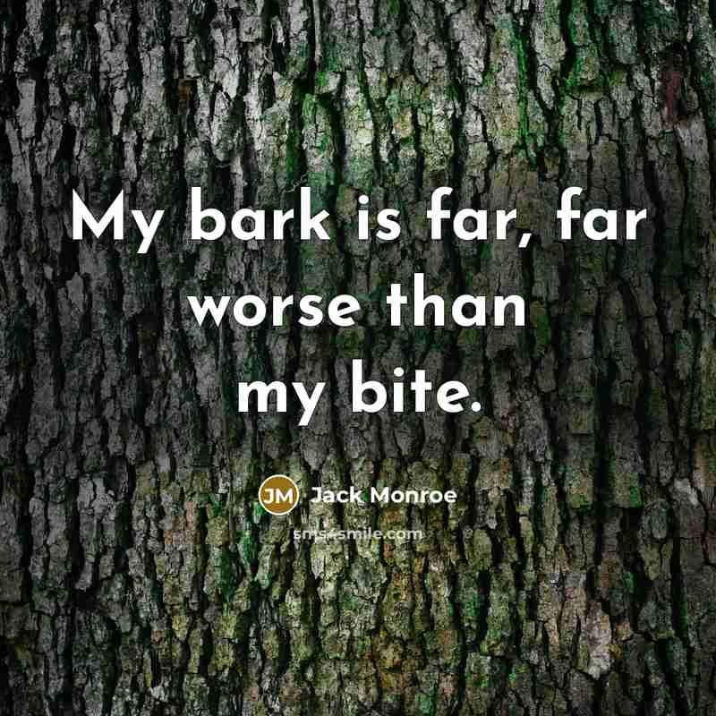 “My bark is far, far worse than my bite.…” quote by Jack Monroe