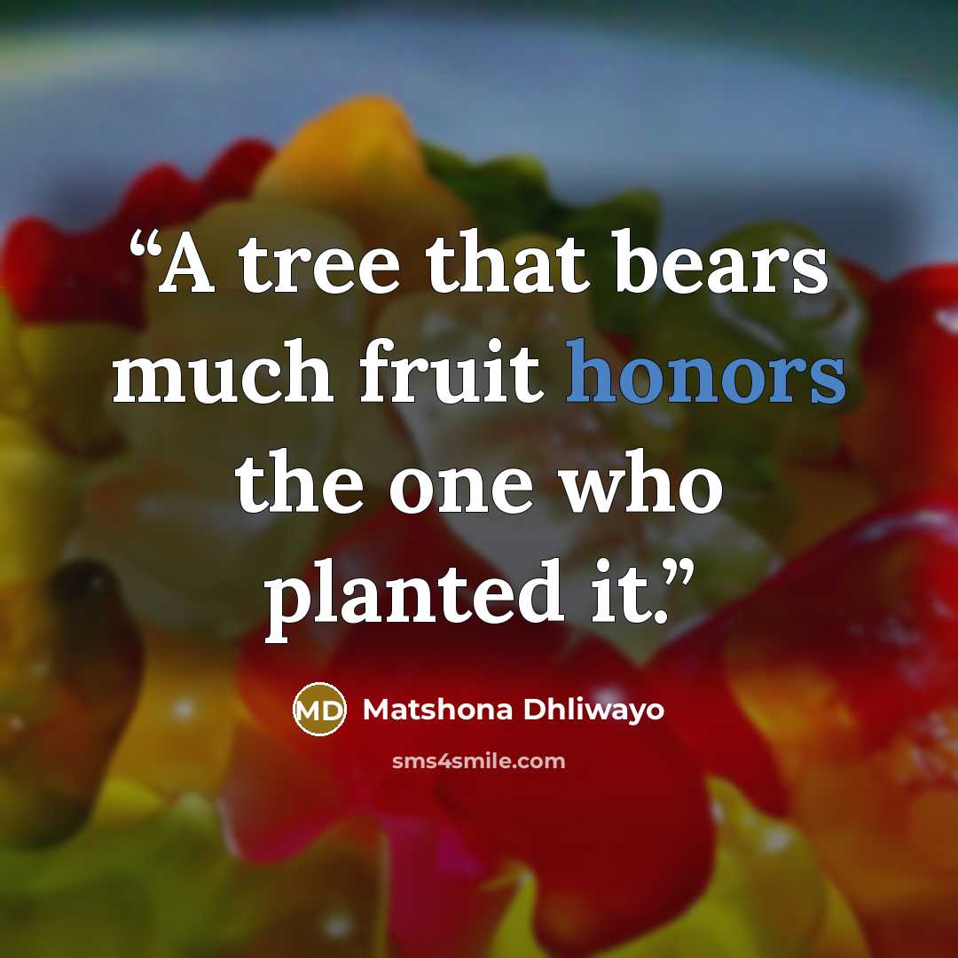 “A tree that bears much fruit honors the one who planted it.” quote by Matshona Dhliwayo