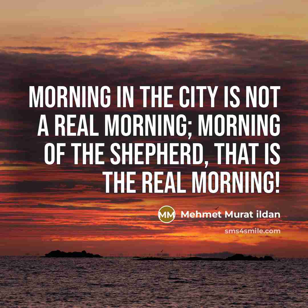 “Morning in the city is not a real morning; morning…” quote by Mehmet Murat Ildan