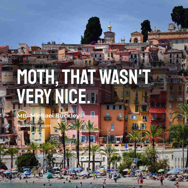 “Moth, that wasn't very nice.” quote by Michael Buckley