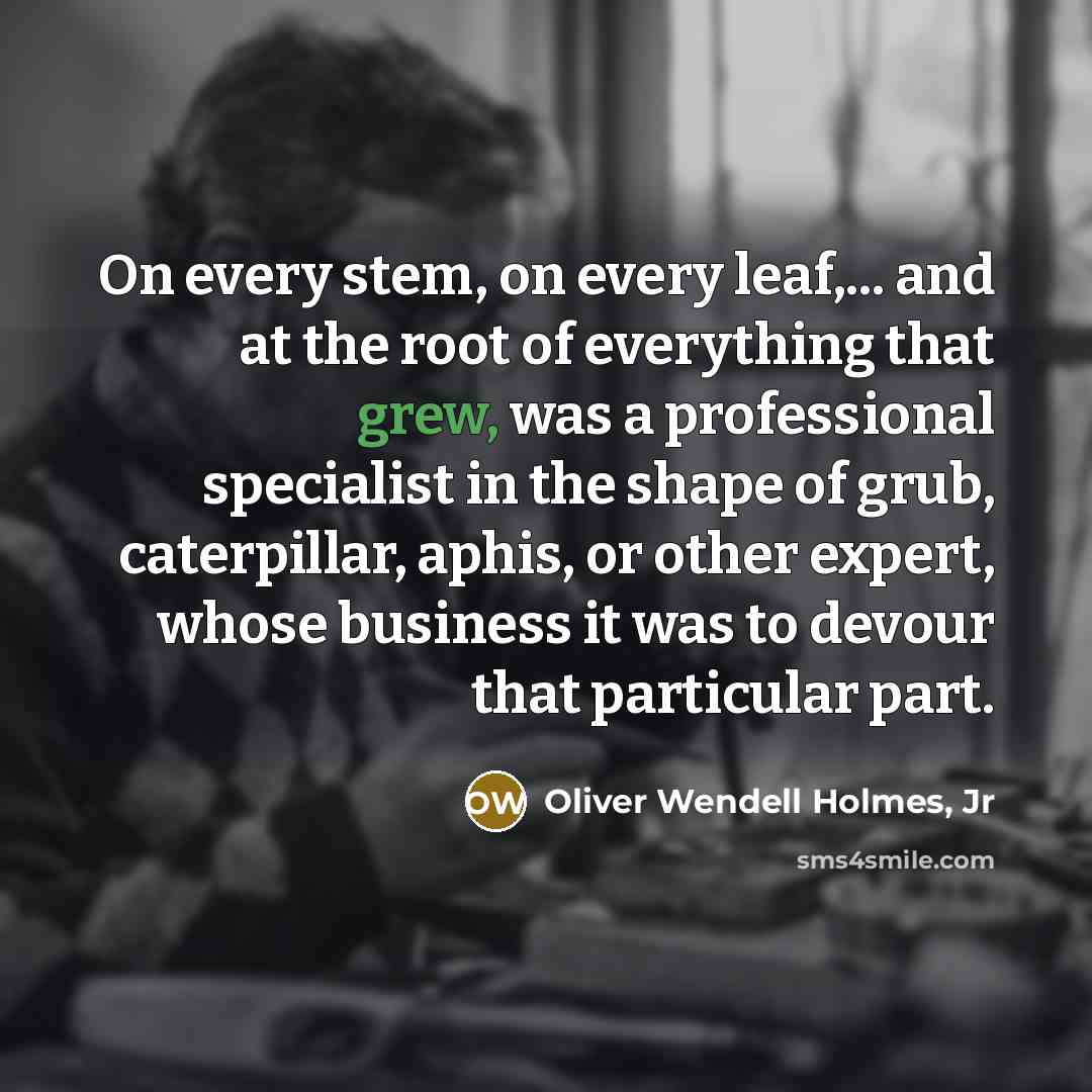 “On every stem, on every leaf,... and at the root…” quote by Oliver Wendell Holmes, Jr
