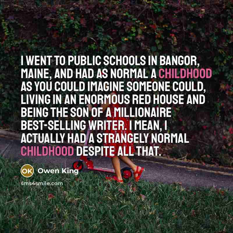 “I went to public schools in Bangor, Maine, and had…” quote by Owen King