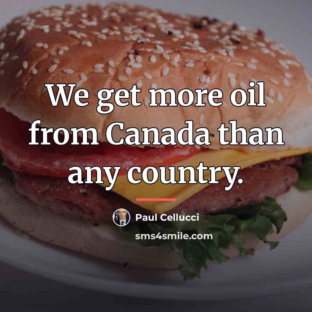 “We get more oil from Canada than any country.…” quote by Paul Cellucci