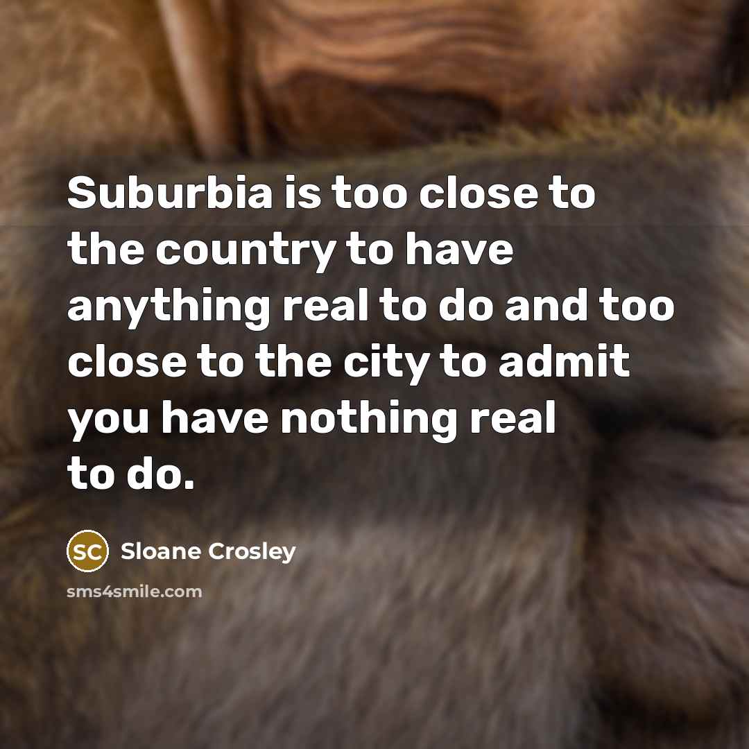 “Suburbia is too close to the country to have anything…” quote by Sloane Crosley