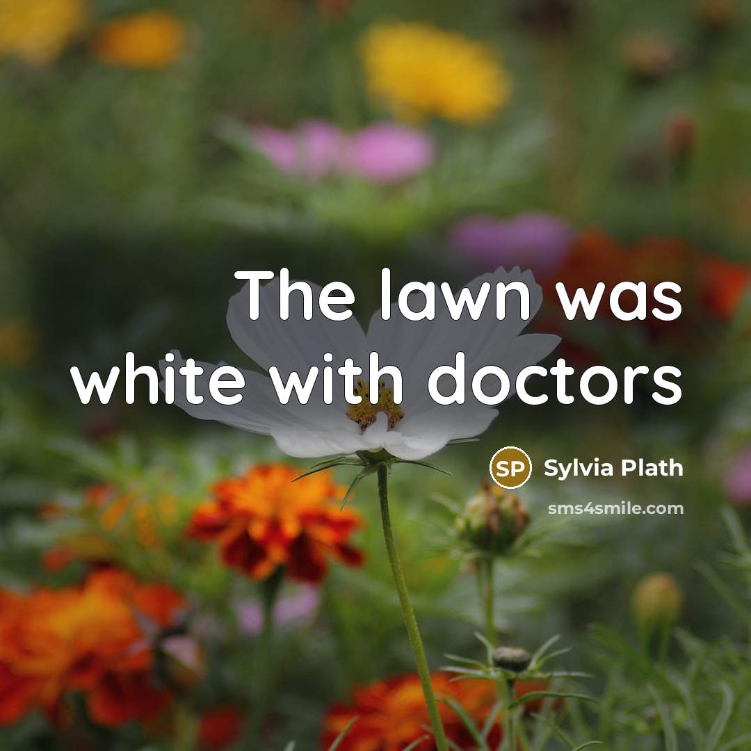 “The lawn was white with doctors…” quote by Sylvia Plath