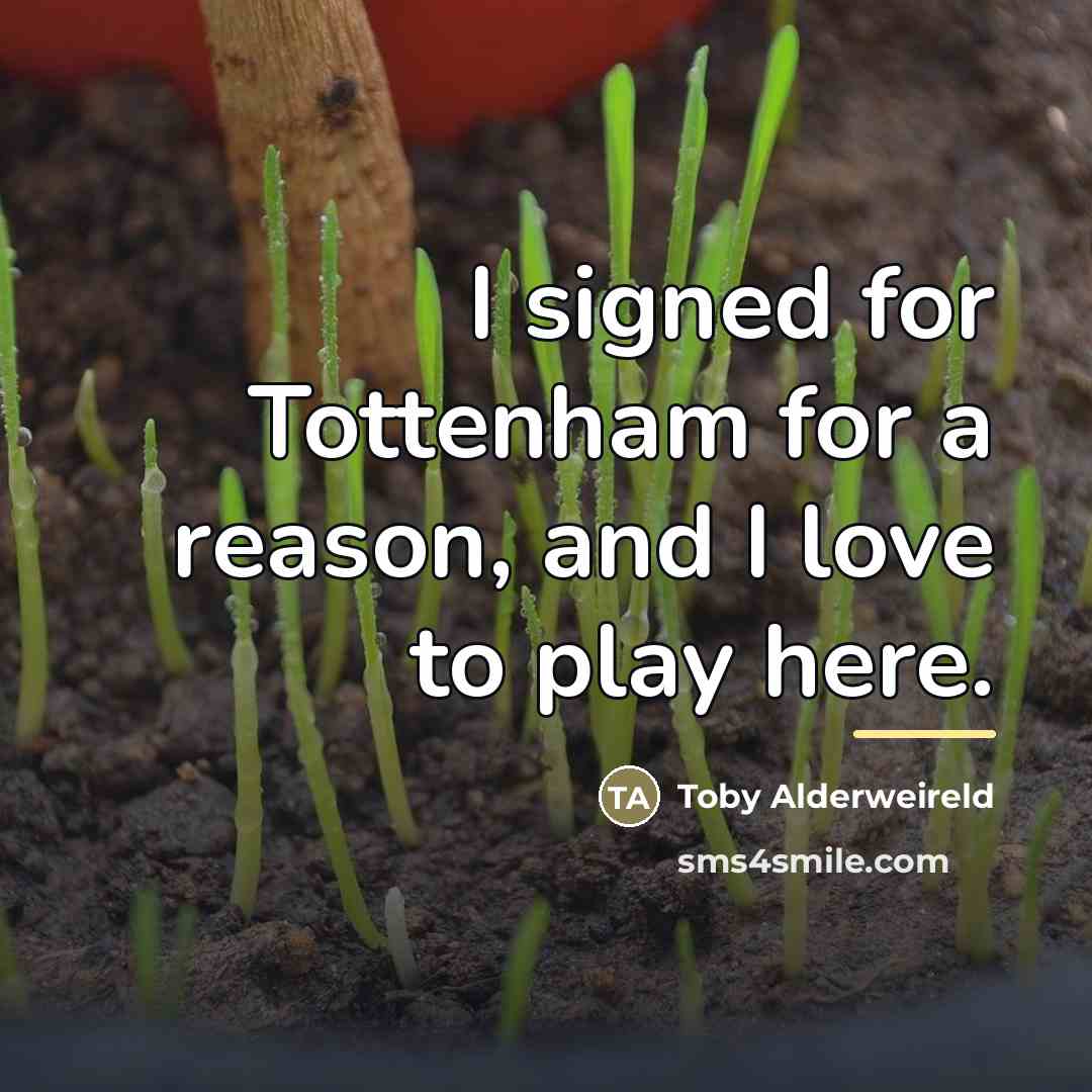 “I signed for Tottenham for a reason, and I love…” quote by Toby Alderweireld