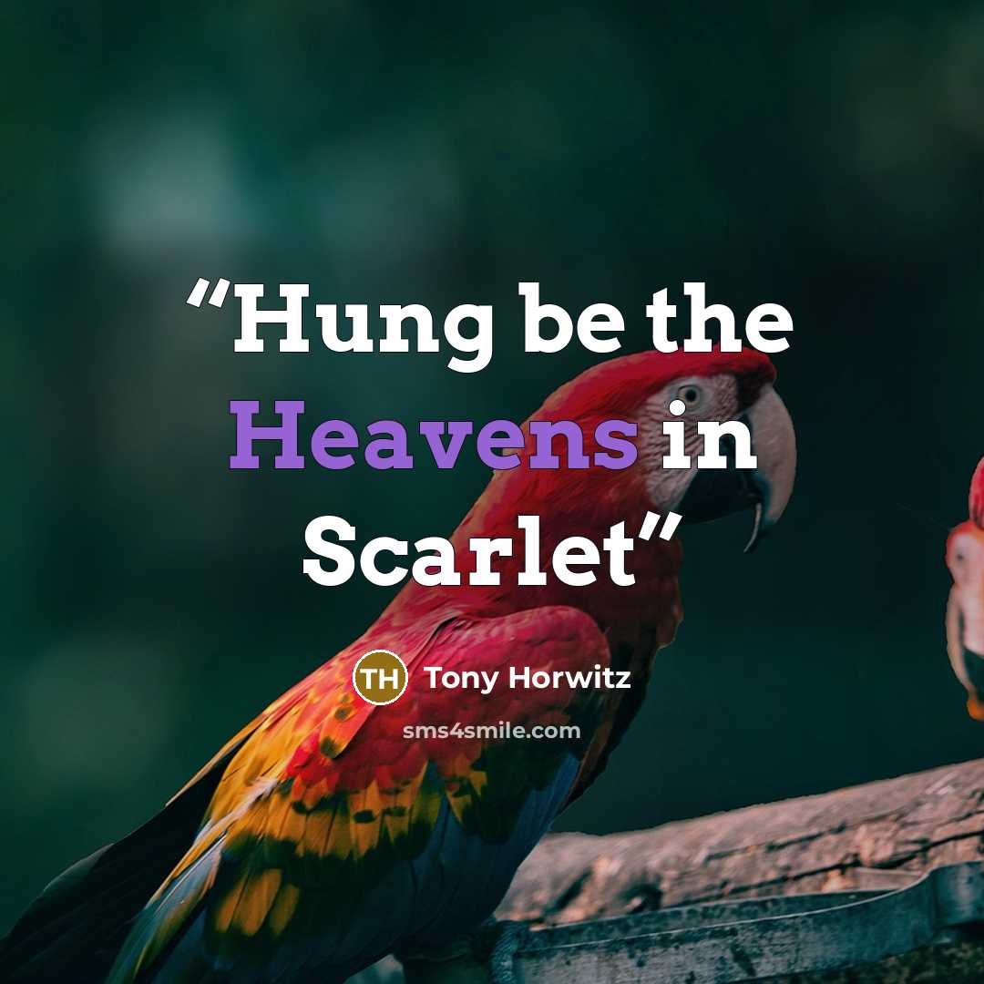 “Hung be the Heavens in Scarlet” quote by Tony Horwitz