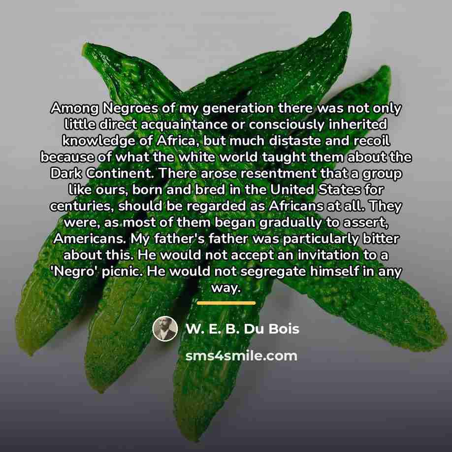 “Among Negroes of my generation there was not only little…” quote by W. E. B. Du Bois