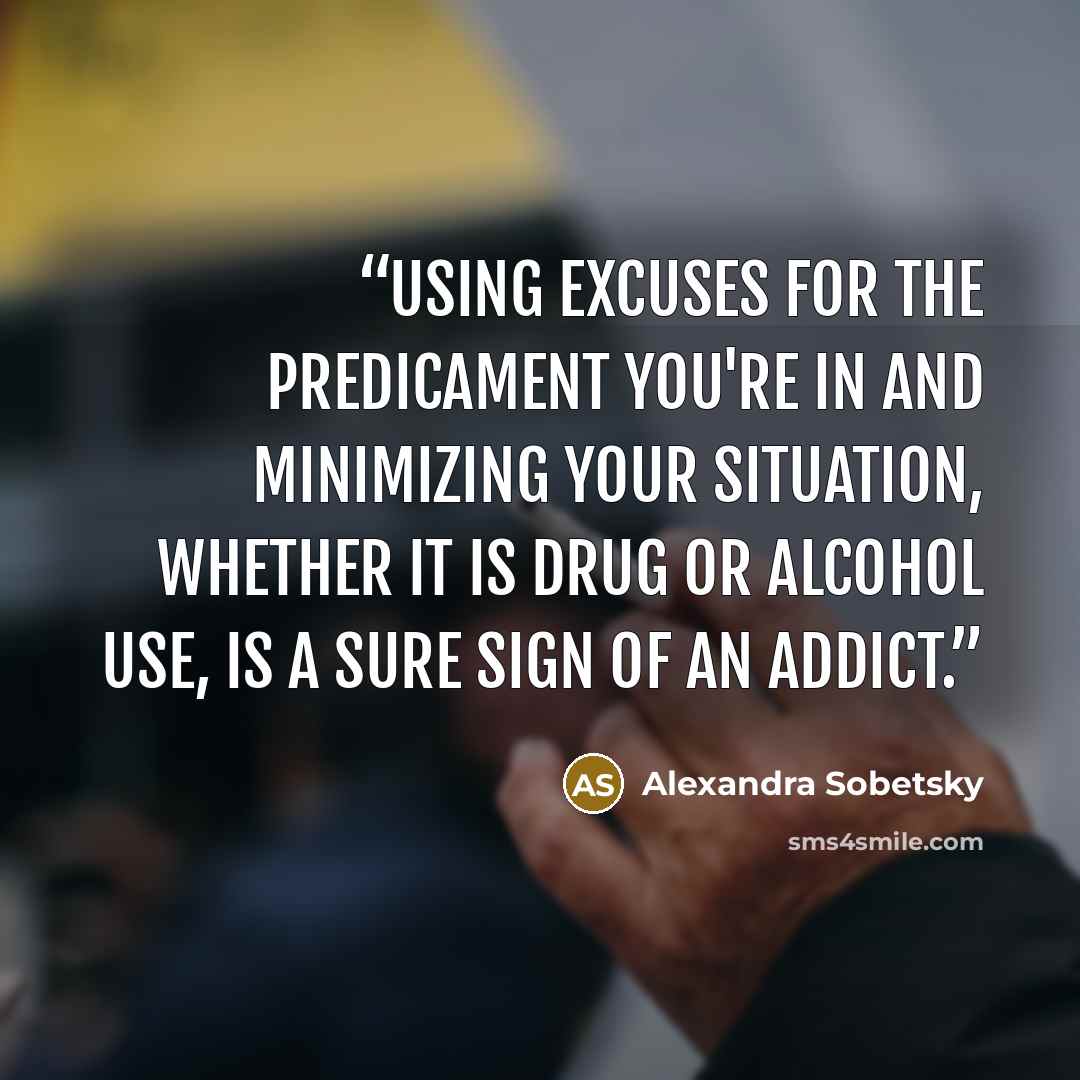 “Using excuses for the predicament you're in and minimizing your situation, whether it is drug or alcohol use, is a sure sign of an addict.” quote by Alexandra Sobetsky