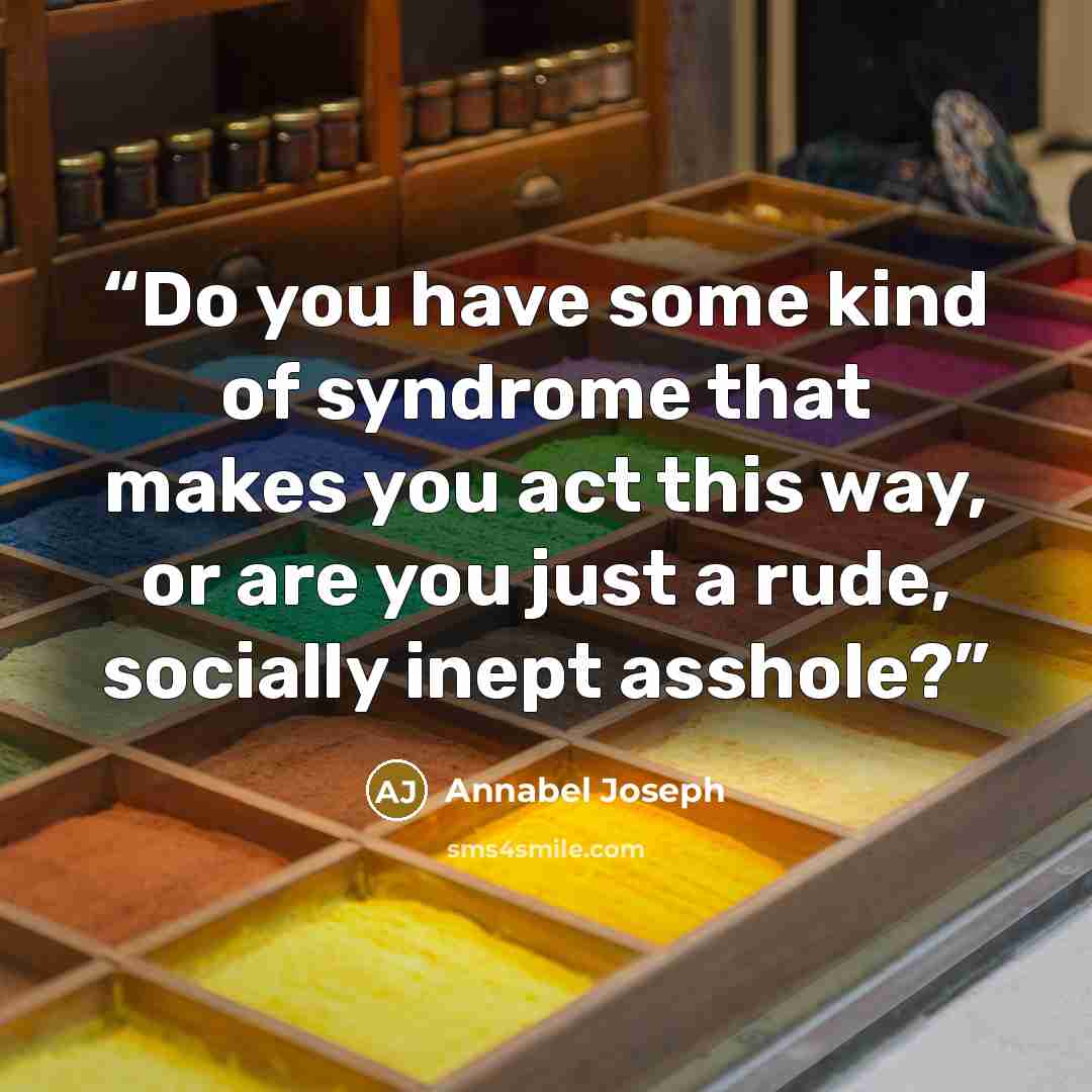 “Do you have some kind of syndrome that makes you act this way, or are you just a rude, socially inept asshole?” quote by Annabel Joseph