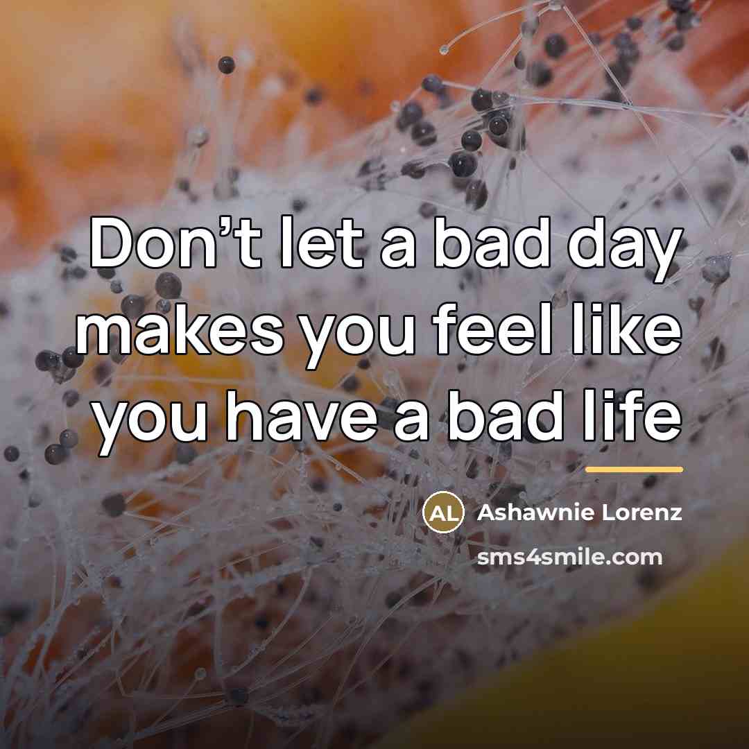 “Don't let a bad day makes you feel like you…” quote by Ashawnie Lorenz