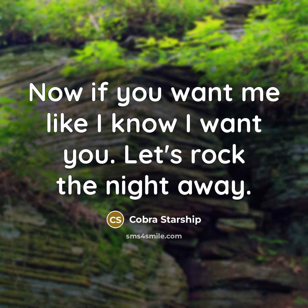 “Now if you want me like I know I want you. Let's rock the night away.” quote by Cobra Starship