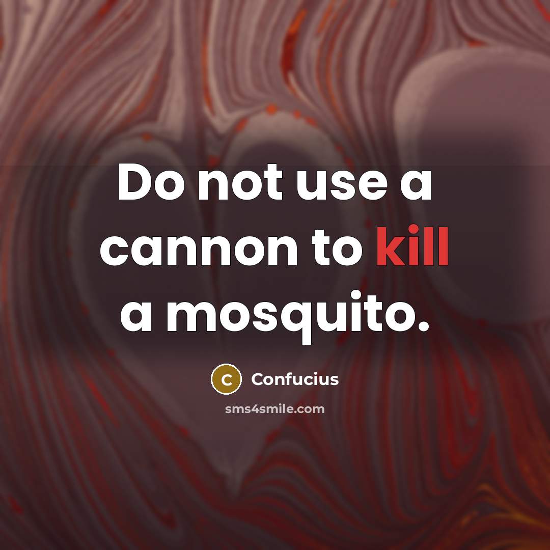 “Do not use a cannon to kill a mosquito.” quote by Confucius