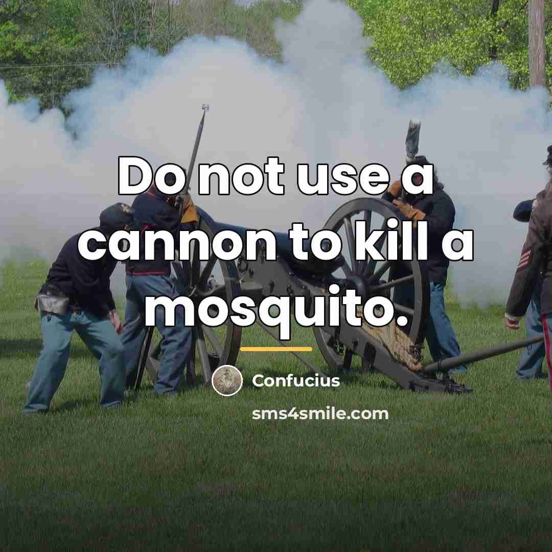 “Do not use a cannon to kill a mosquito.…” quote by Confucius