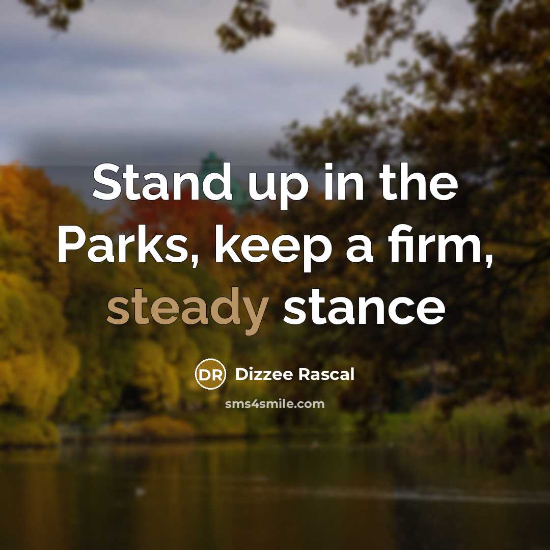 “Stand up in the Parks, keep a firm, steady stance” quote by Dizzee Rascal