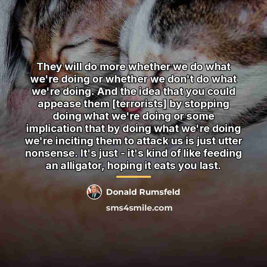 “They will do more whether we do what we're doing…” quote by Donald Rumsfeld