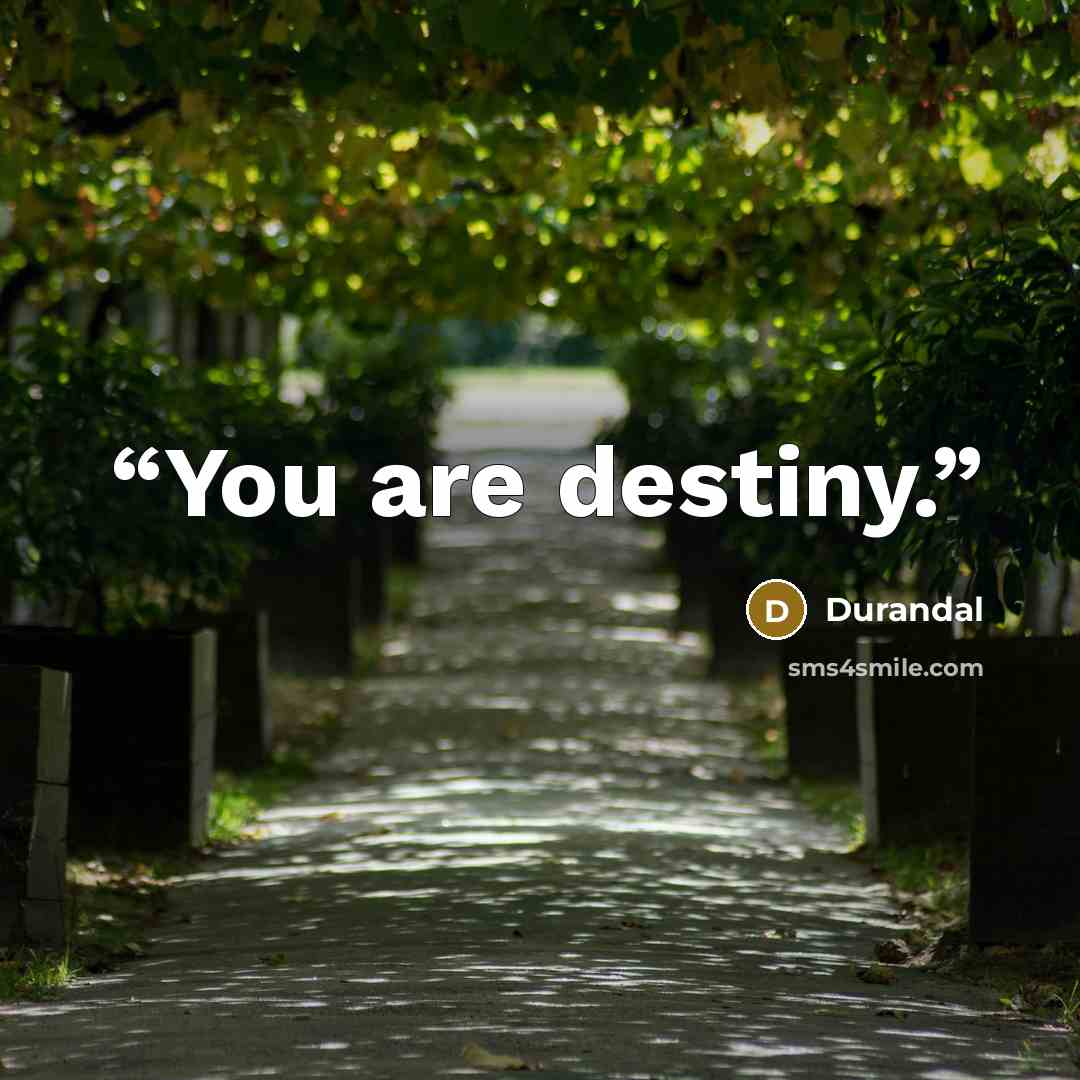 “You are destiny.” quote by Durandal