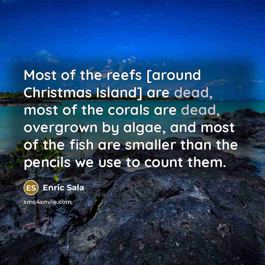 “Most of the reefs [around Christmas Island] are dead, most…” quote by Enric Sala