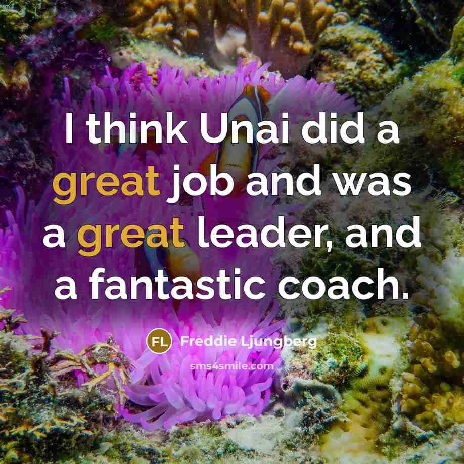 “I think Unai did a great job and was a…” quote by Freddie Ljungberg