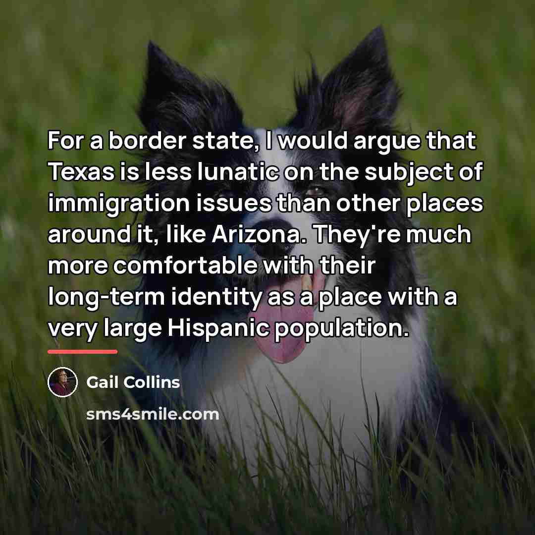 “For a border state, I would argue that Texas is…” quote by Gail Collins