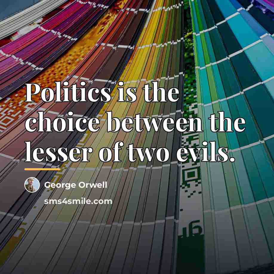 “Politics is the choice between the lesser of two evils.…” quote by George Orwell