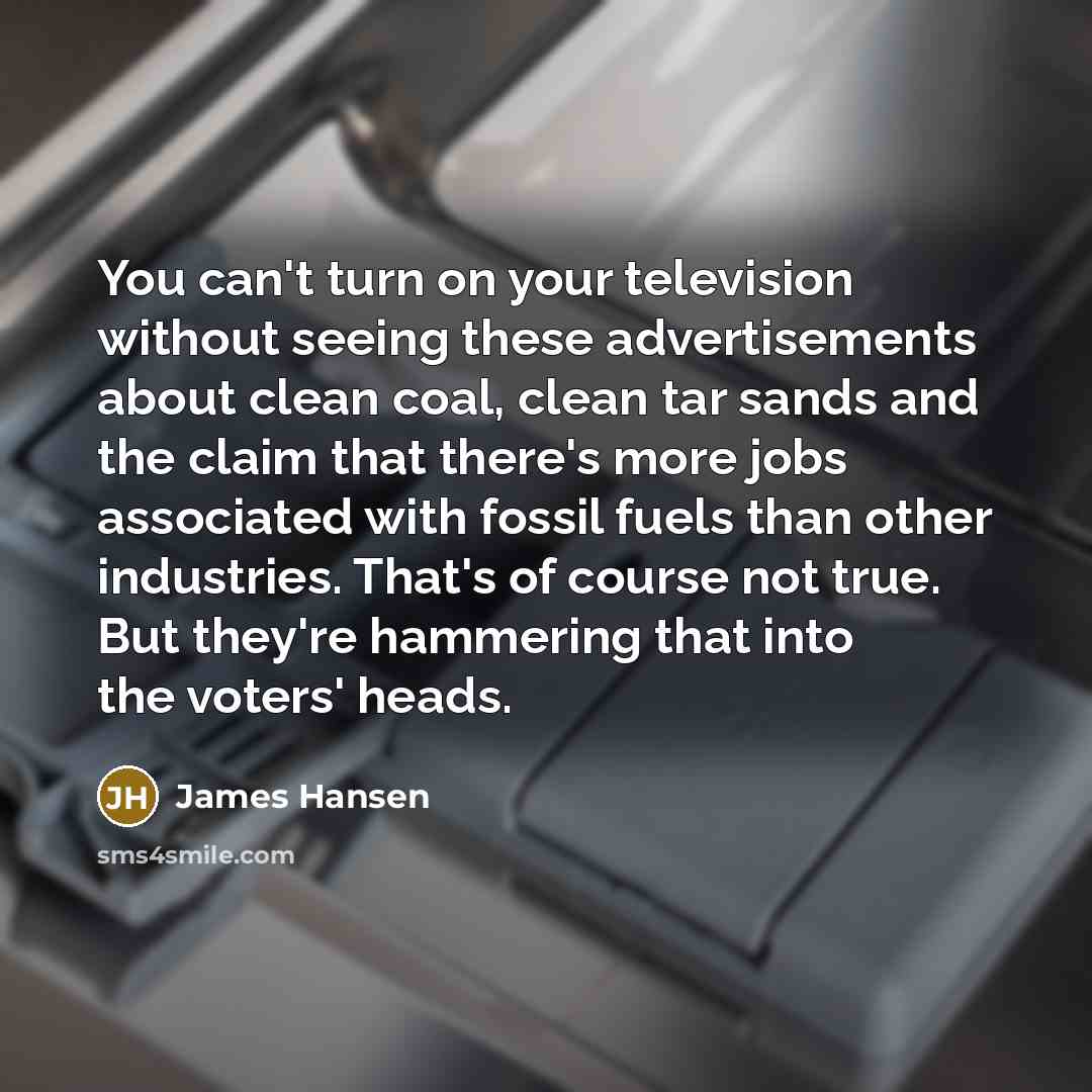 “You can't turn on your television without seeing these advertisements…” quote by James Hansen