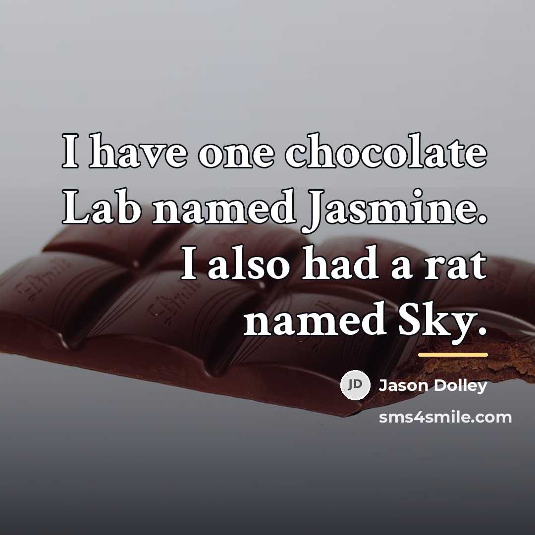 “I have one chocolate Lab named Jasmine. I also had…” quote by Jason Dolley