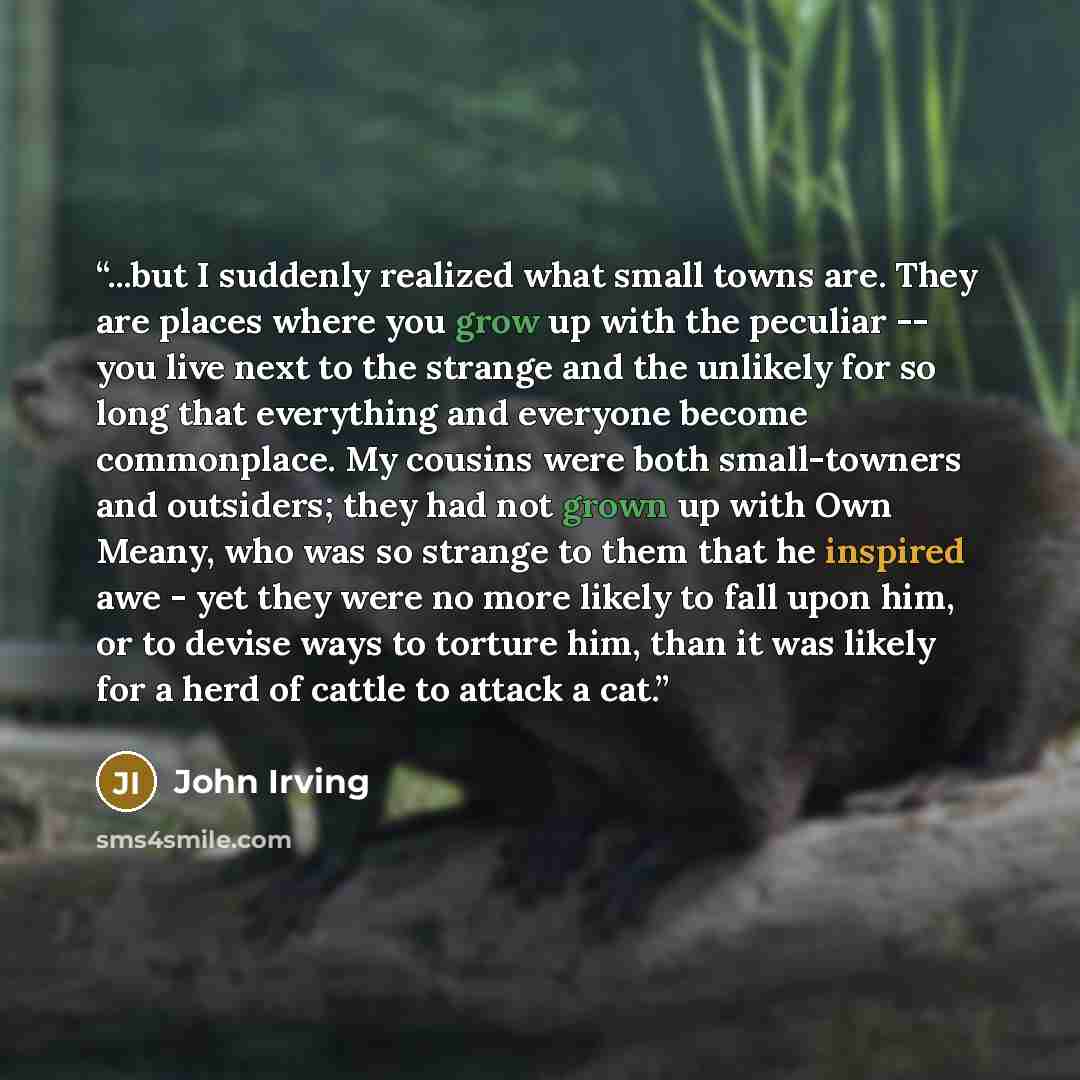 “...but I suddenly realized what small towns are. They are places where you grow up with the peculiar -- you live next to the strange and the unlikely for so long that everything and everyone become commonplace. My cousins were both small-towners and outsiders; they had not grown up with Own Meany…” quote by John Irving