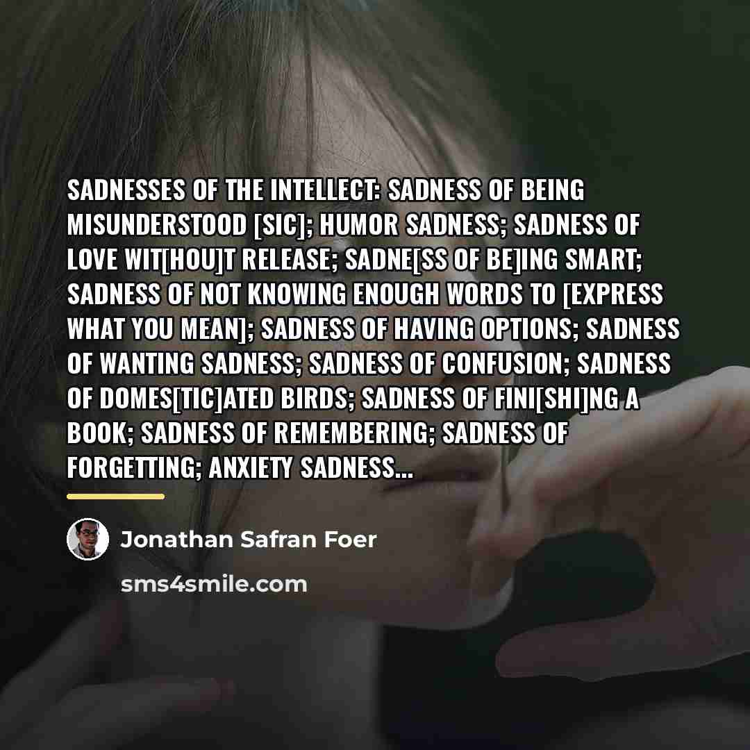 “SADNESSES OF THE INTELLECT: Sadness of being misunderstood [sic]; Humor…” quote by Jonathan Safran Foer