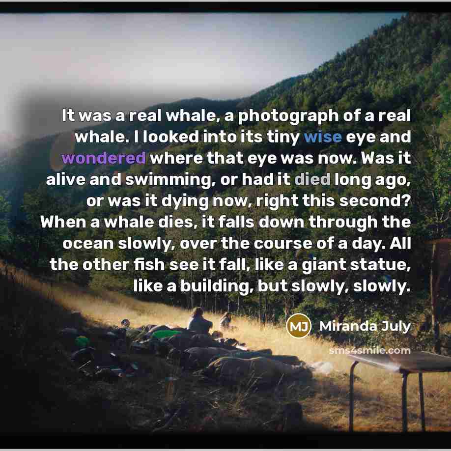“It was a real whale, a photograph of a real…” quote by Miranda July